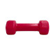 Liga Vinyl Dumbbell Αλτήρας Βινυλίου 1kg (χρώμα ρόζ)